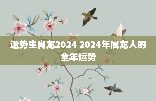 运势生肖龙2024 2024年属龙人的全年运势