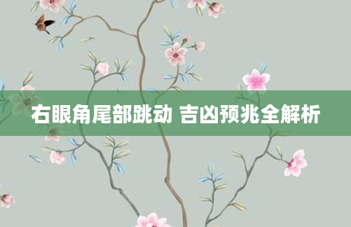 右眼角尾部跳动 吉凶预兆全解析
