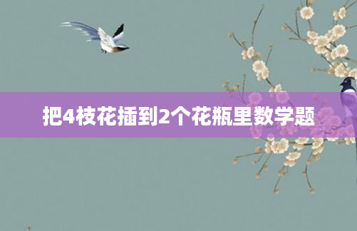 把4枝花插到2个花瓶里数学题