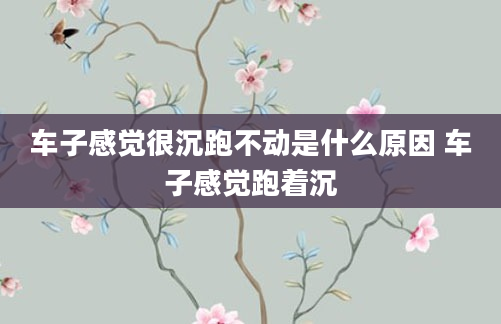 车子感觉很沉跑不动是什么原因 车子感觉跑着沉