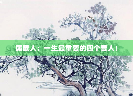 属鼠人：一生最重要的四个贵人！