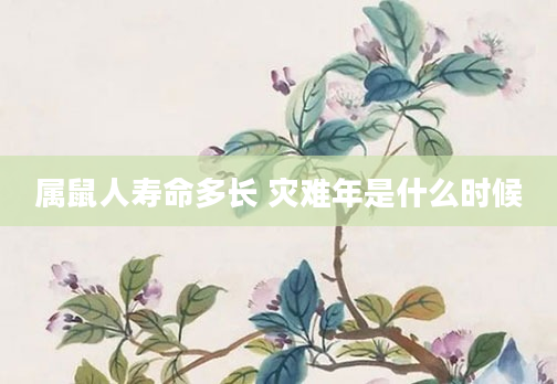 属鼠人寿命多长 灾难年是什么时候