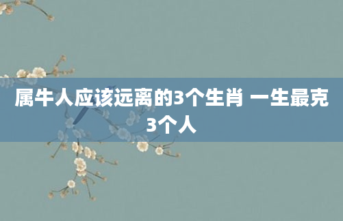 属牛人应该远离的3个生肖 一生最克3个人