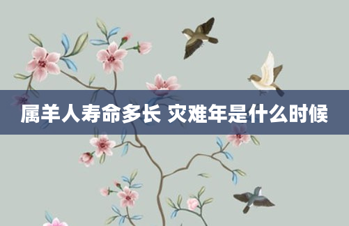 属羊人寿命多长 灾难年是什么时候