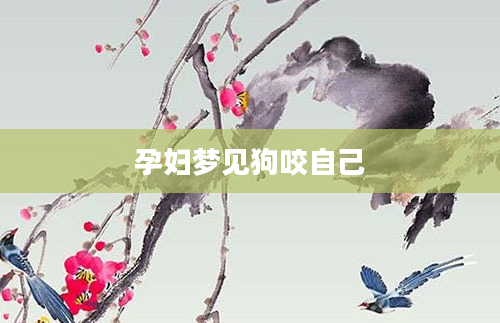 孕妇梦见狗咬自己