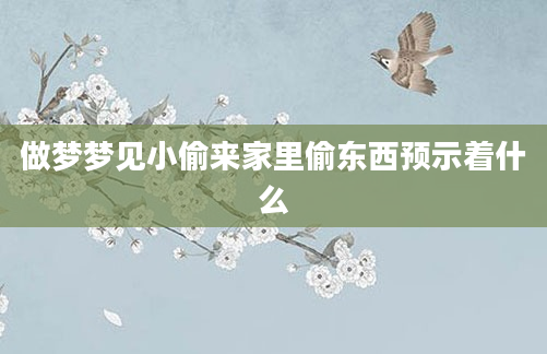 做梦梦见小偷来家里偷东西预示着什么
