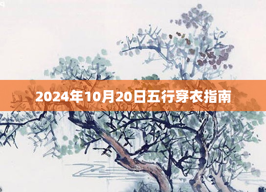 2024年10月20日五行穿衣指南