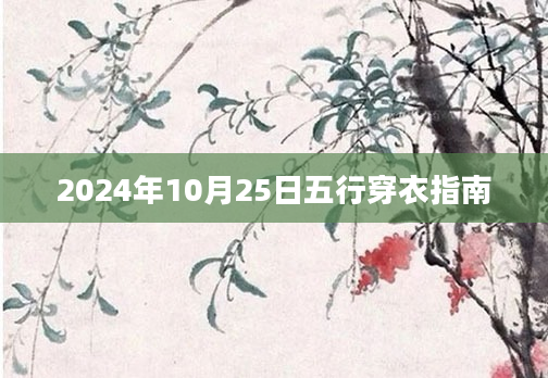 2024年10月25日五行穿衣指南