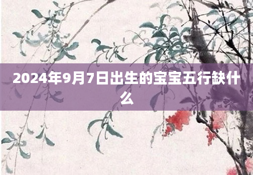 2024年9月7日出生的宝宝五行缺什么