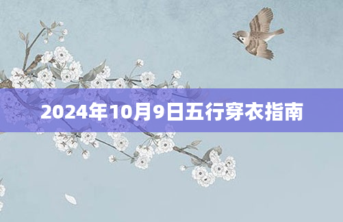 2024年10月9日五行穿衣指南