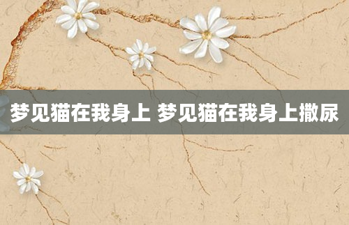 梦见猫在我身上 梦见猫在我身上撒尿