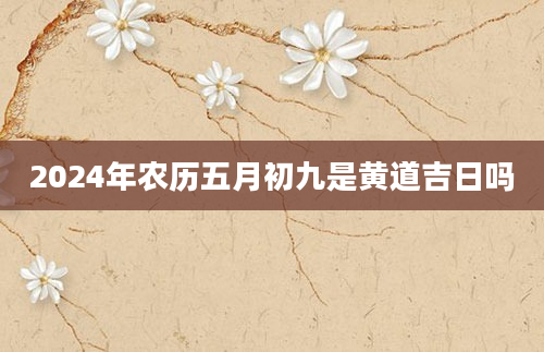 2024年农历五月初九是黄道吉日吗
