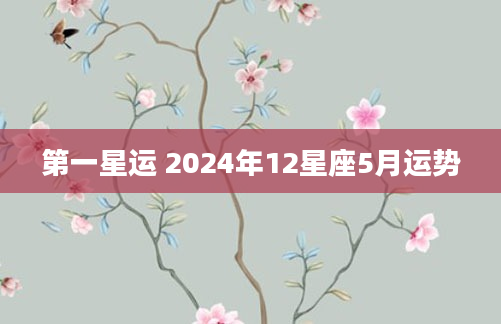 第一星运 2024年12星座5月运势