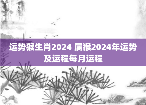 运势猴生肖2024 属猴2024年运势及运程每月运程