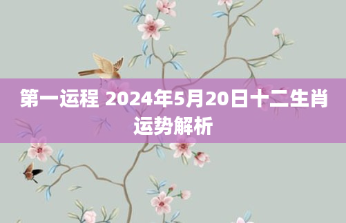 第一运程 2024年5月20日十二生肖运势解析