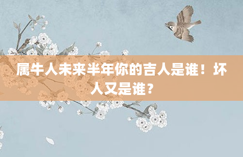 属牛人未来半年你的吉人是谁！坏人又是谁？