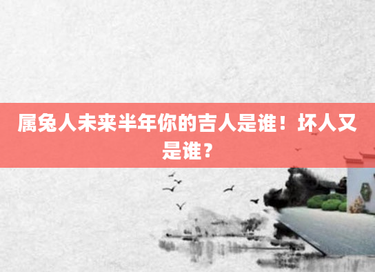 属兔人未来半年你的吉人是谁！坏人又是谁？
