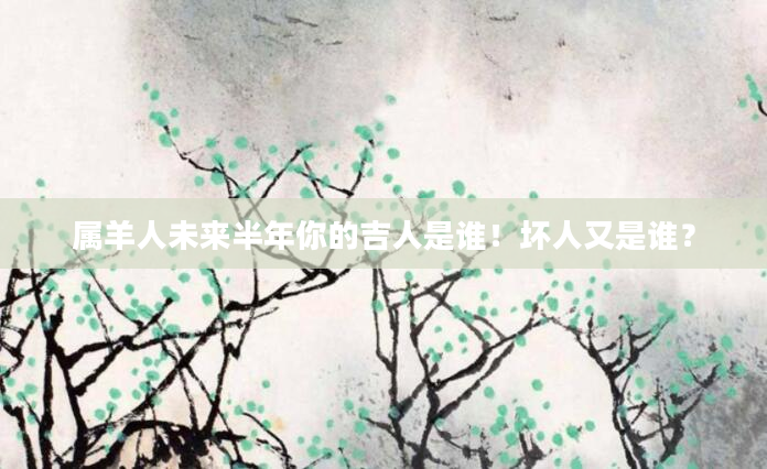 属羊人未来半年你的吉人是谁！坏人又是谁？