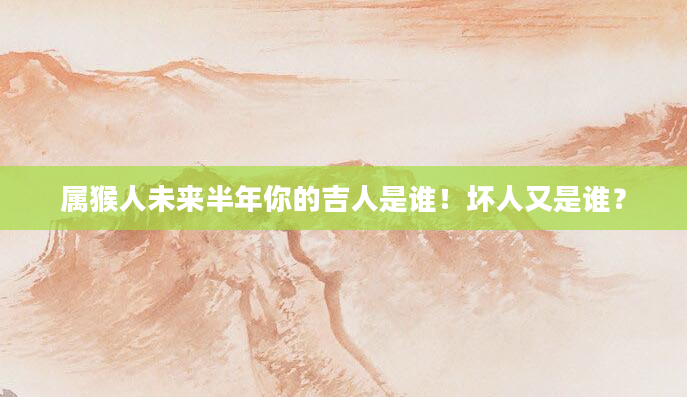 属猴人未来半年你的吉人是谁！坏人又是谁？