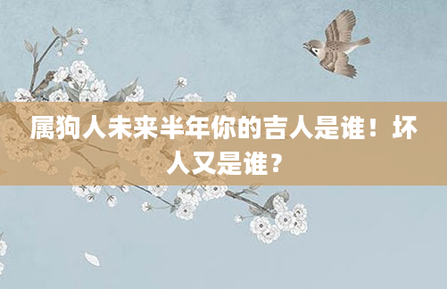 属狗人未来半年你的吉人是谁！坏人又是谁？