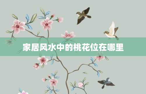 家居风水中的桃花位在哪里
