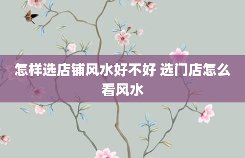 怎样选店铺风水好不好 选门店怎么看风水
