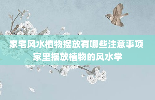 家宅风水植物摆放有哪些注意事项 家里摆放植物的风水学