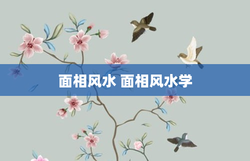 面相风水 面相风水学