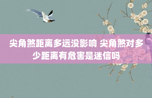尖角煞距离多远没影响 尖角煞对多少距离有危害是迷信吗