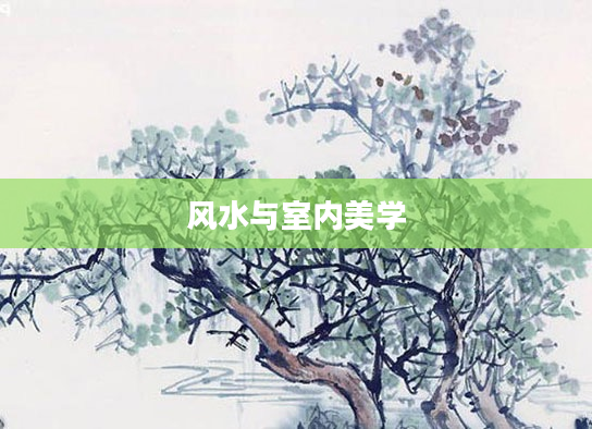 风水与室内美学