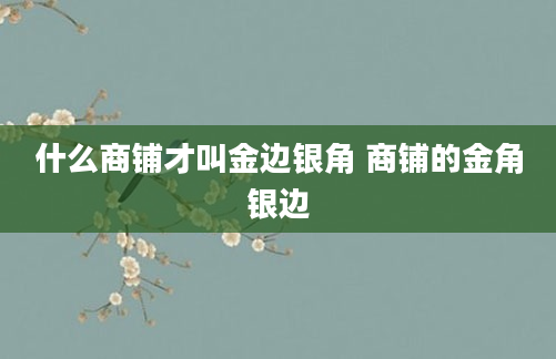什么商铺才叫金边银角 商铺的金角银边