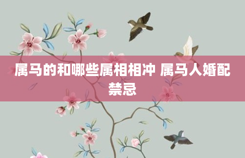 属马的和哪些属相相冲 属马人婚配禁忌