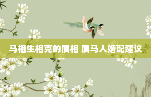 马相生相克的属相 属马人婚配建议