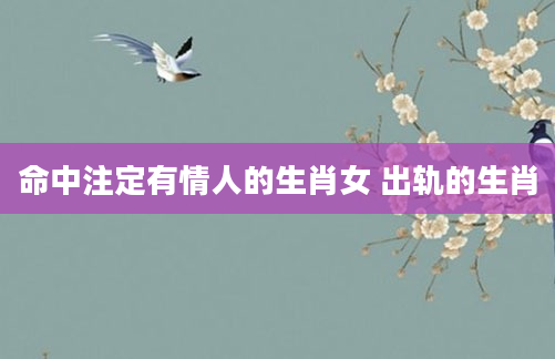 命中注定有情人的生肖女 出轨的生肖