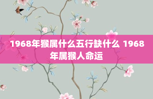 1968年猴属什么五行缺什么 1968年属猴人命运