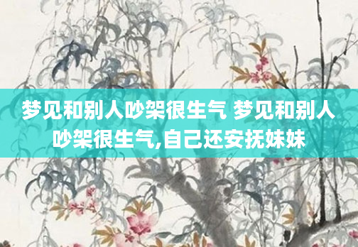 梦见和别人吵架很生气 梦见和别人吵架很生气,自己还安抚妹妹