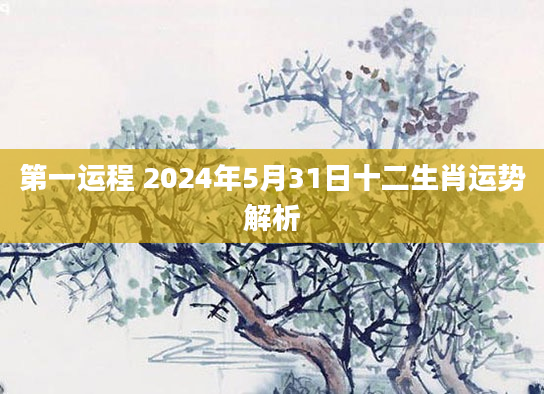 第一运程 2024年5月31日十二生肖运势解析