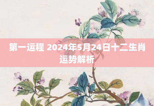 第一运程 2024年5月24日十二生肖运势解析