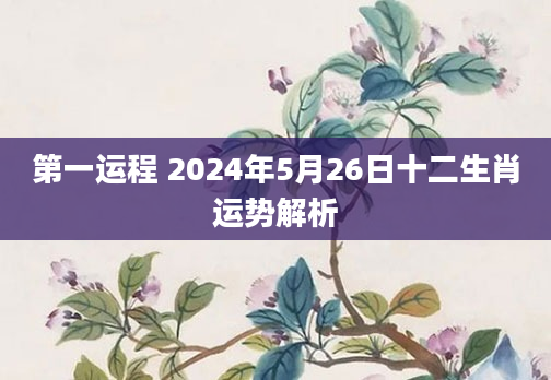 第一运程 2024年5月26日十二生肖运势解析