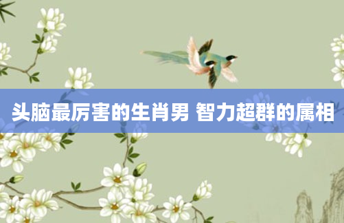 头脑最厉害的生肖男 智力超群的属相