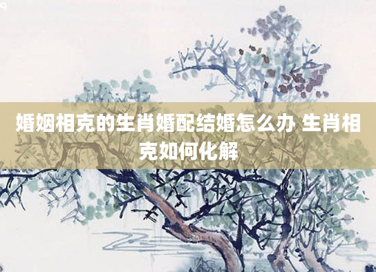 婚姻相克的生肖婚配结婚怎么办 生肖相克如何化解