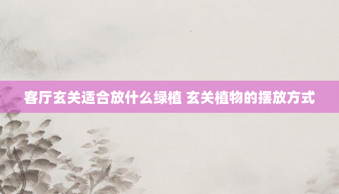 客厅玄关适合放什么绿植 玄关植物的摆放方式