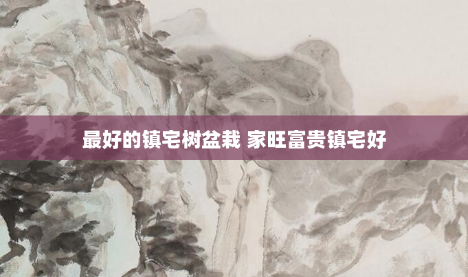 最好的镇宅树盆栽 家旺富贵镇宅好