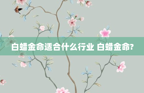 白蜡金命适合什么行业 白蜡金命?