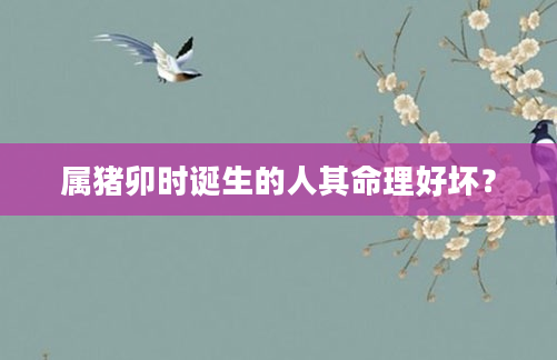 属猪卯时诞生的人其命理好坏？