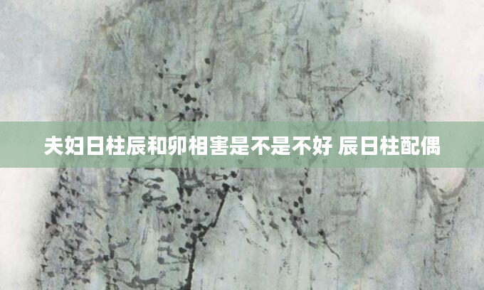 夫妇日柱辰和卯相害是不是不好 辰日柱配偶