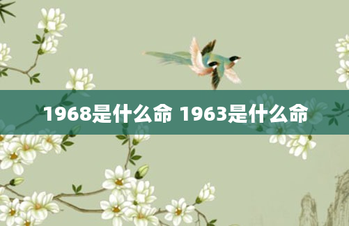 1968是什么命 1963是什么命