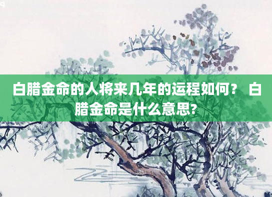 白腊金命的人将来几年的运程如何？ 白腊金命是什么意思?