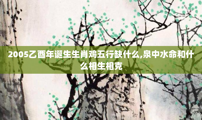 2005乙酉年诞生生肖鸡五行缺什么,泉中水命和什么相生相克