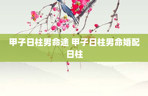 甲子日柱男命途 甲子日柱男命婚配日柱